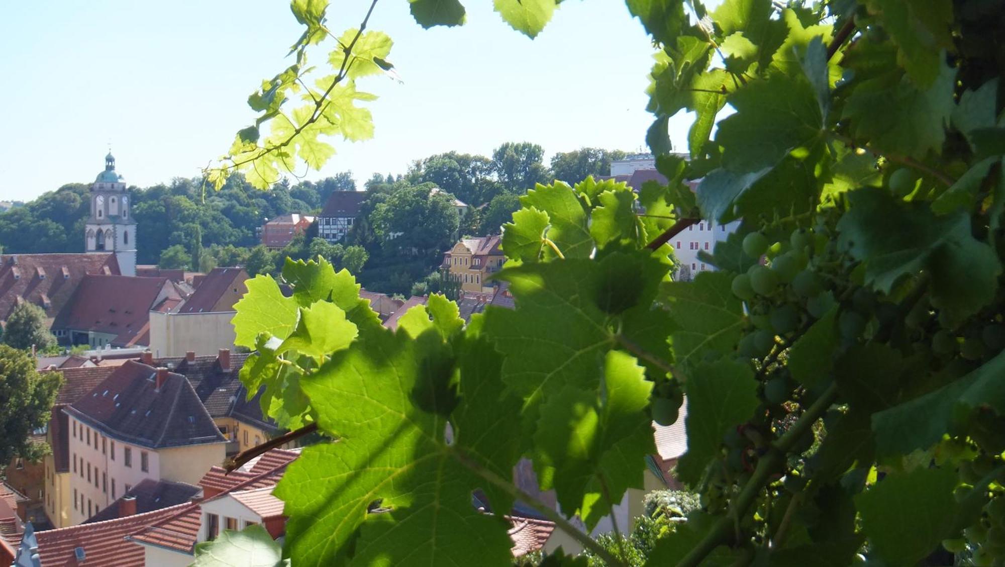 Hotel Schlossberg Meißen Exterior foto